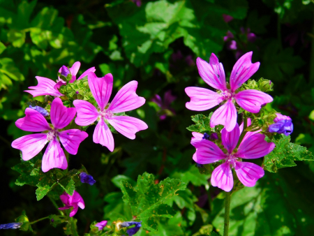 DSCN6371.jpg