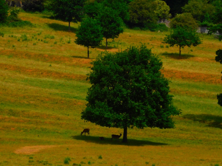 DSCN6373.jpg