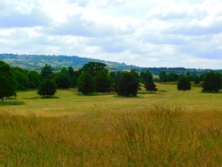 DSCN6379.jpg