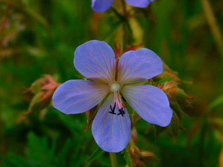DSCN6382.jpg
