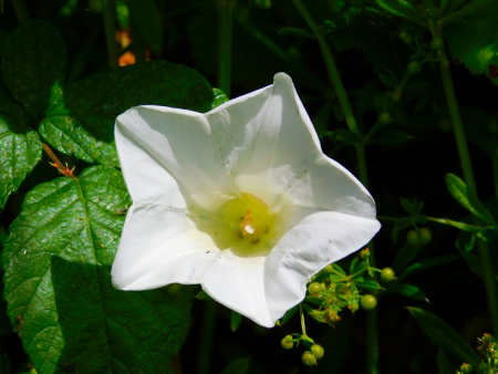 DSCN6388.jpg