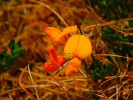 DSCN6393.jpg