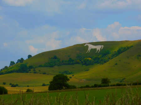 DSCN6457.jpg