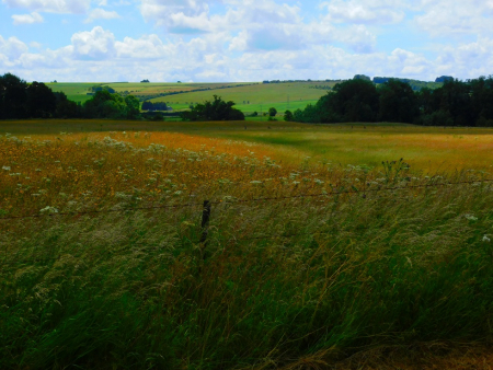 DSCN6536.jpg