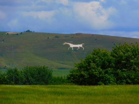DSCN6541.jpg