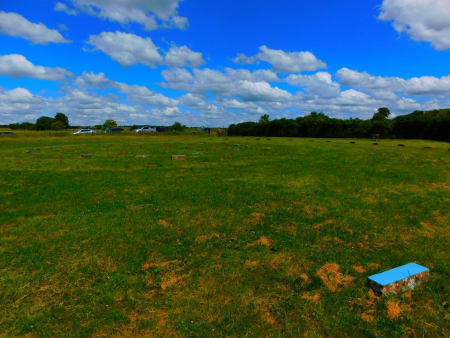 DSCN6546.jpg