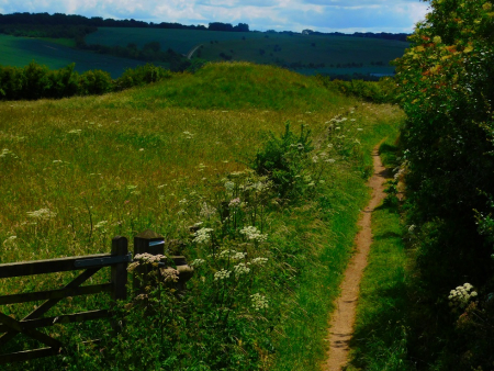 DSCN6556.jpg