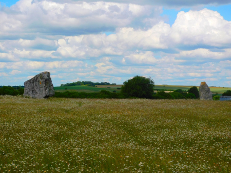 DSCN6578.jpg