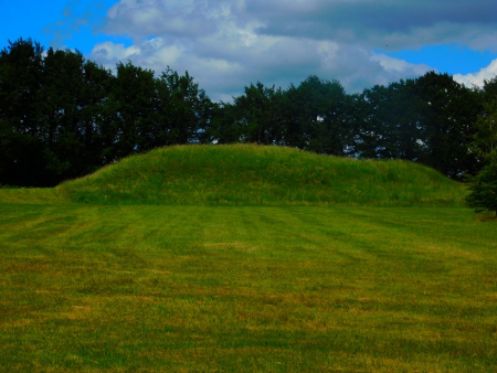 DSCN6583.jpg