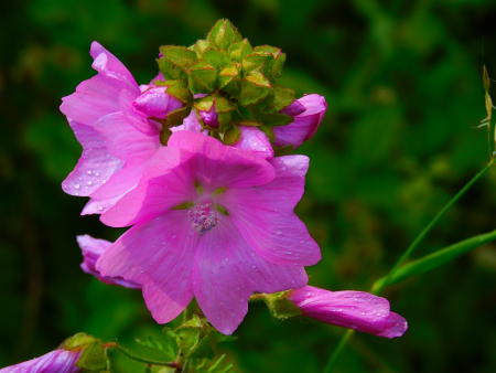 DSCN6593.jpg