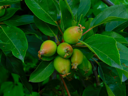 DSCN6601.jpg