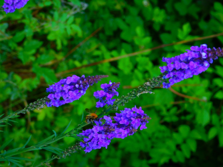 DSCN6603.jpg