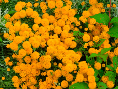 DSCN6689.jpg