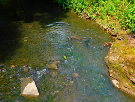 DSCN6769.jpg