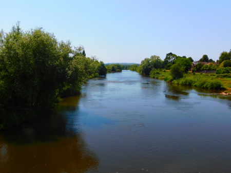 DSCN6788.jpg