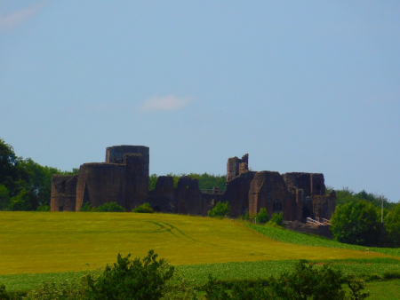 DSCN6790.jpg