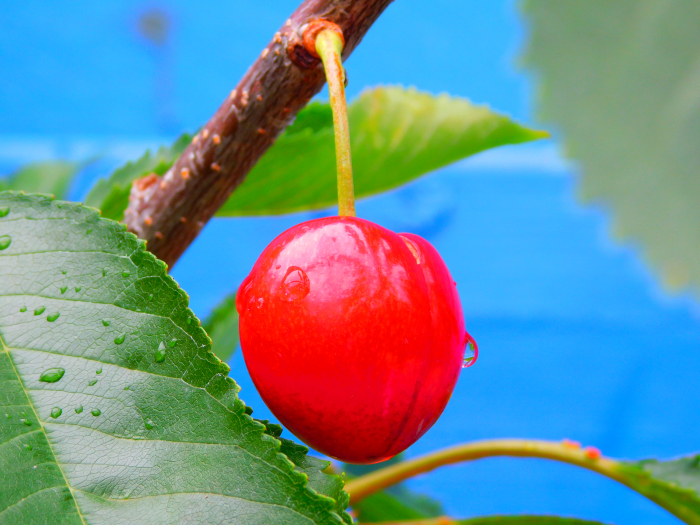 DSCN9131.JPG